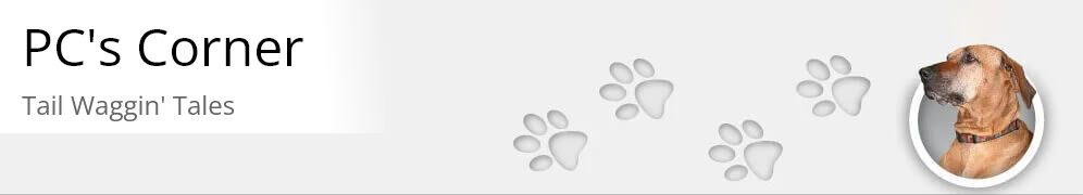 Welcome to Tail Waggin' Tales